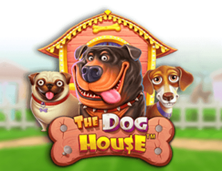 Dog House